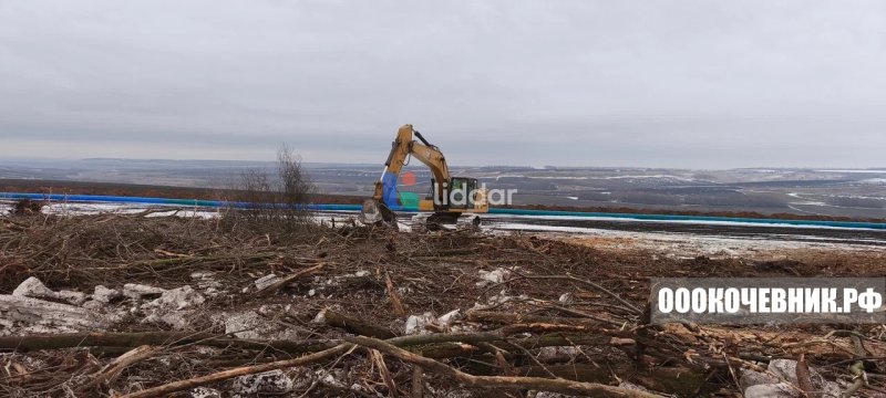 Расчистка участков от 1 га под «ключ»